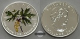 Kanada - 2005 5 Dollar - Maple Leaf Coloured Coin FM-Frankfurt...