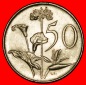 Ⰶ BLUMEN (1965-1990): SÜDAFRIKA ★ 50 CENT 1971! VZGL STEM...