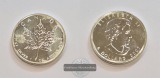 Kanada 5 Dollar 2007 Maple Leaf FM-Frankfurt  Feinsilber: 31,1g