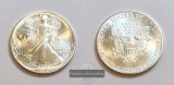 USA 1 Dollar  1991  American Eagle  FM-Frankfurt KM#273 Feinsi...