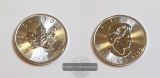 Kanada 5 Dollar 2022 FM-Frankfurt Feinsilber: 31,06g