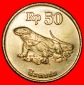 Ⰶ DRACHEN (1991-1998): INDONESIEN ★ 50 RUPIAH 1993 SONNENF...