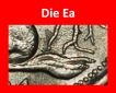 Ⰶ NICHT KOMMUNISTISCHER TYP 1950-2001:DEUTSCHLAND★50 PFENN...
