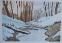 0044-AQUARELLBILD / BACH IM WINTERWALD / FORMAT A4 (21x29,7cm)...