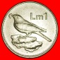 Ⰿ VOGEL (1991-2007): MALTA ★ 1 PFUND 1995 KANTE r2! VZGL S...