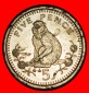 Ⰺ GROSSBRITANNIEN (1988-2003): GIBRALTAR★5 PENCE 1991AA AF...