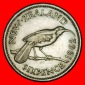 Ⰶ NICHT NACKT (1953–1962): NEUSEELAND ★ 6 PENCE 1964!  E...