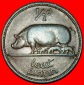 Ⰺ GROSSBRITANNIEN (1939-1967): IRLAND ★1/2 PENNY 1964 SCHW...