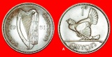 Ⰺ GROSSBRITANNIEN (1928-1937): IRLAND ★ 1 PENNY 1931! ENTD...