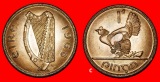 Ⰺ GROSSBRITANNIEN 1940-1968: IRLAND★1 PENNY 1968 STG STEMP...