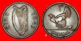 Ⰺ GROSSBRITANNIEN (1940-1968):IRLAND★1 PENNY 1943 KRIEGSZE...