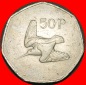 Ⰺ WALDSCHNEPFE (1970-2000): IRLAND ★ 50 PENCE 1983!★OHNE...