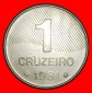 Ⰺ ZUCKERROHR (1979-1984): BRASILIEN ★ 1 CRUZEIRO 1981! ★...