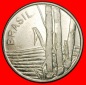 Ⰺ ZUCKERROHR (1979-1984): BRASILIEN ★ 1 CRUZEIRO 1979! ★...