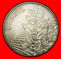 Ⰺ KAFFEE (1980-1984): BRASILIEN ★ 5 CRUZEIRO 1982! ★OHNE...