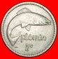 Ⰺ GROSSBRITANNIEN (1928-1968) NICHT SILBER: IRLAND★2 SHILL...