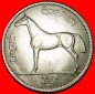 Ⰺ GROSSBRITANNIEN (1928-1967) NICHT SILBER: IRLAND★1/2 CRO...