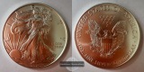 USA 1 Dollar 2020 (Walking Liberty) FM-Frankfurt KM#273 Feinsi...
