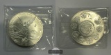 Mexiko / 2 Onzas Libertad 2007 Mo FM-Frankfurt KM#614 Feinsilb...