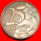 Ⰺ SÜDKREUZ (1998-2025): BRASILIEN★25 CENTAVO 2006 STEMPEL...