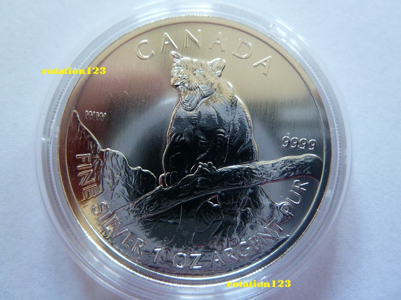  Canada 5 $ Wildlife 2012 <i>Puma</i> 1 Oz 999,9 Silber   