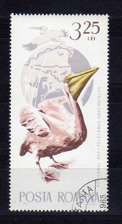  Rumänien Schöne Alte Briefmarke 1965 gest. zu 3,25 LEI Vögel-Pelican   