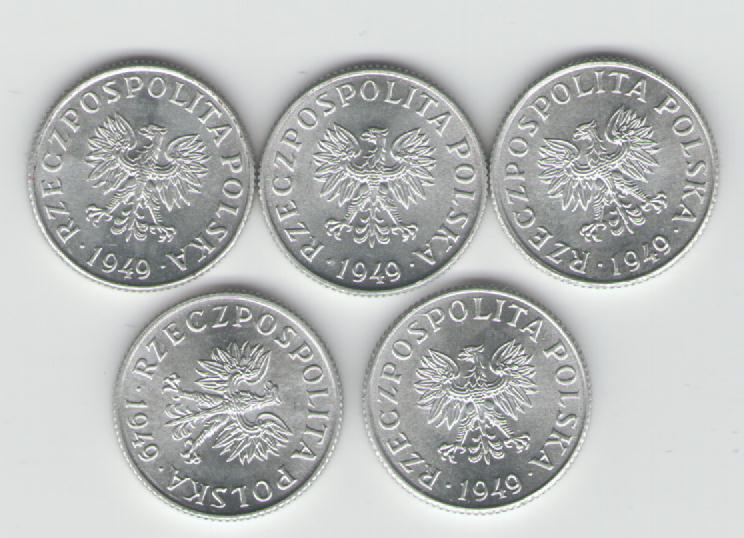  1 Grozy Polen 1949 (5x)(k237)   