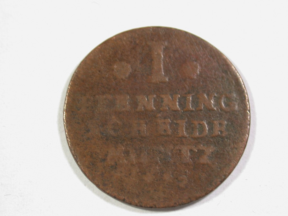  14107 Braunschweig-Lüneburg-Celle 1695 1 Pfennig !! Orginalbilder   