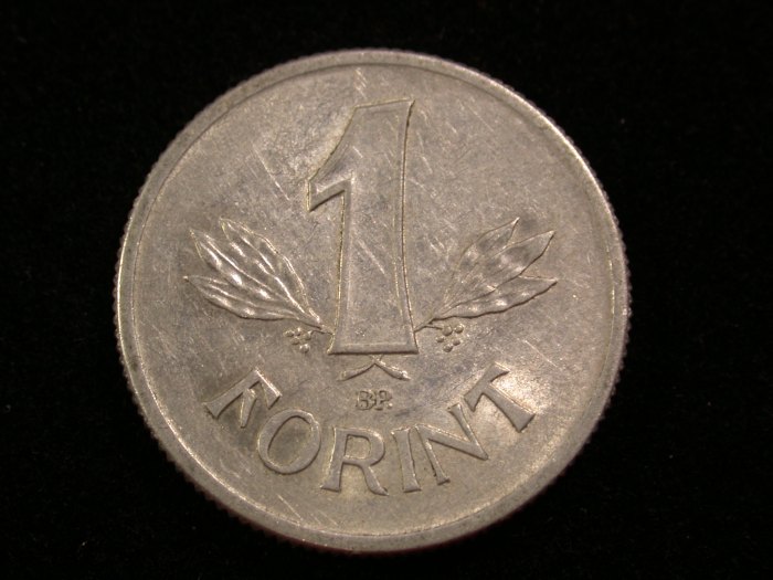  14108 Ungarn 1 Forint 1988 in vz  Orginalbilder!   