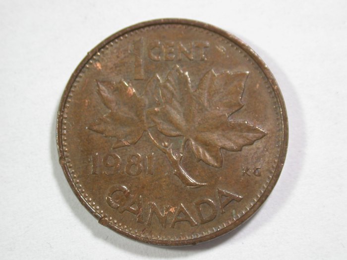  14108 Kanada  1 Cent 1981 in vz/vz+ (AU) Orginalbilder!   