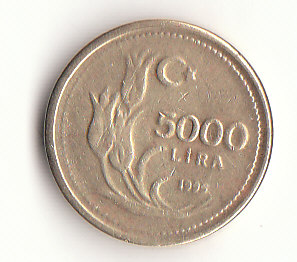 5000 Lira Türkei 1995 (G973)   