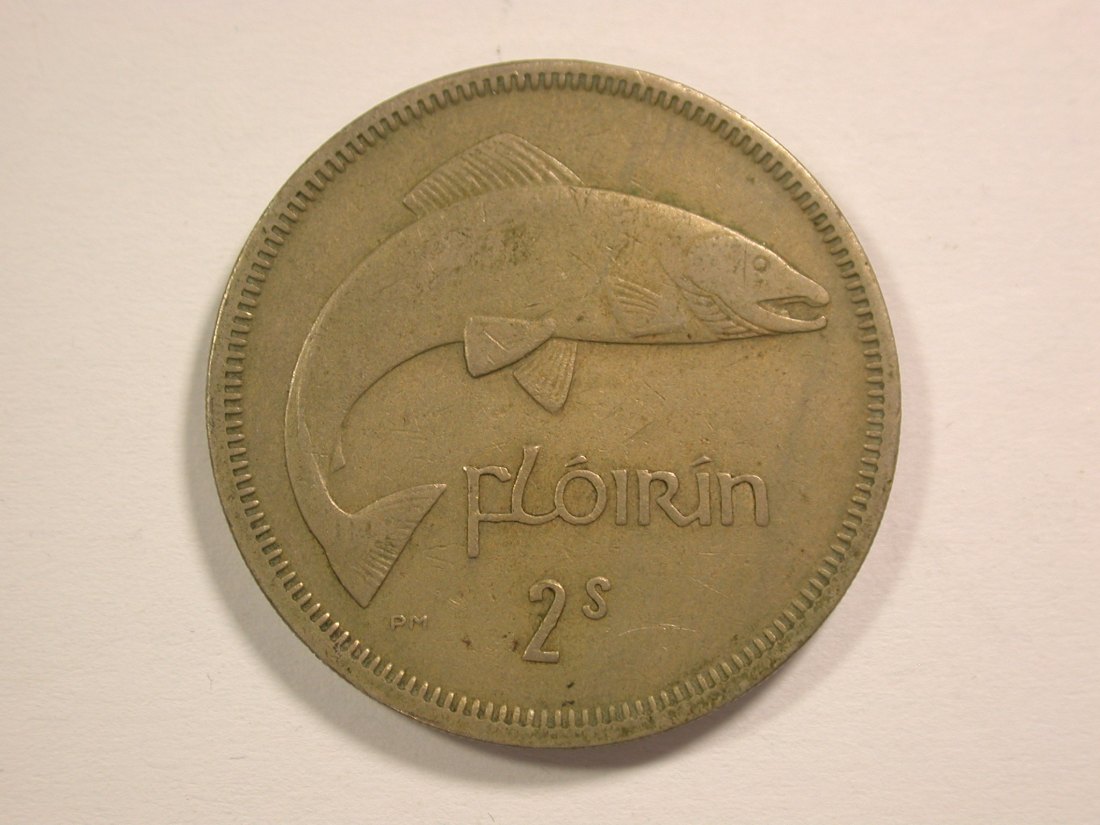14304 Irland 1 Florin 1966 in ss-vz Orginalbilder