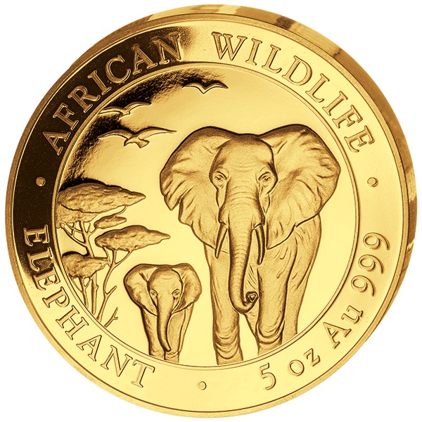  5oz Elefant Goldmünze 2015 Somalia incl. Etui und Zertifikat   
