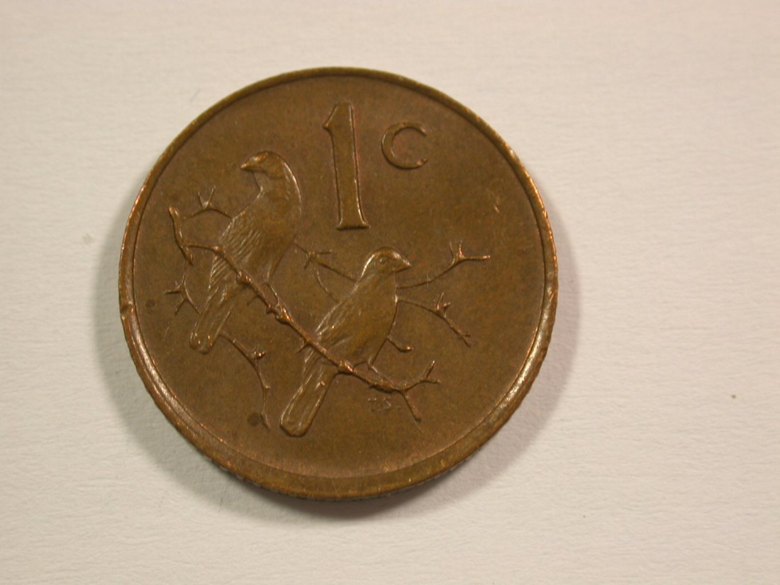 15006 Südafrika 1 Cent 1989 in f.st Orginalbilder