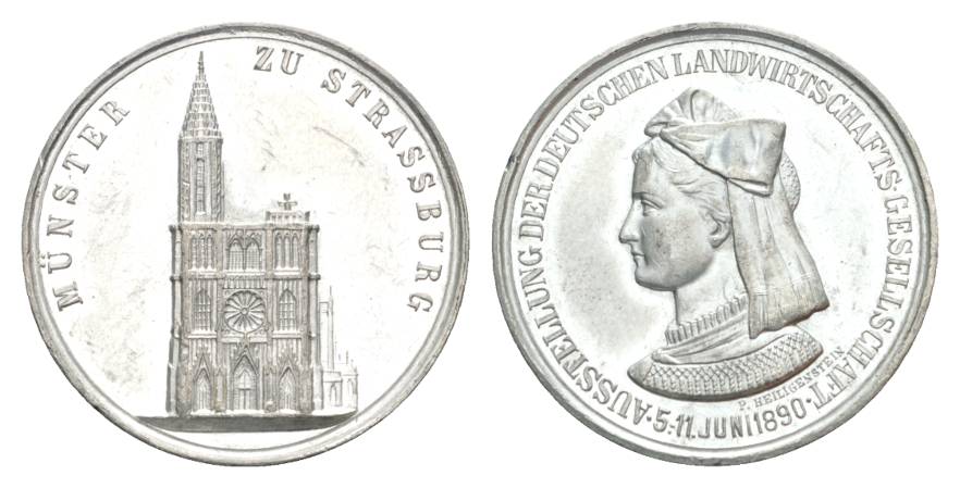  Zinnmedaille 1890; Münster zu Stassburg; 12,6g; 33,2mm   