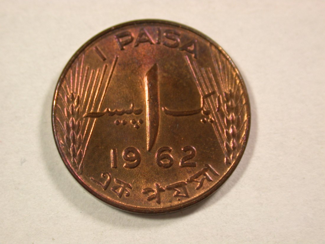 A009 Pakistan 1 Paisa 1962 in ST !! Orginalbilder