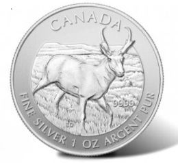  CANADA 2013 Antilope 1 oz Silber st   