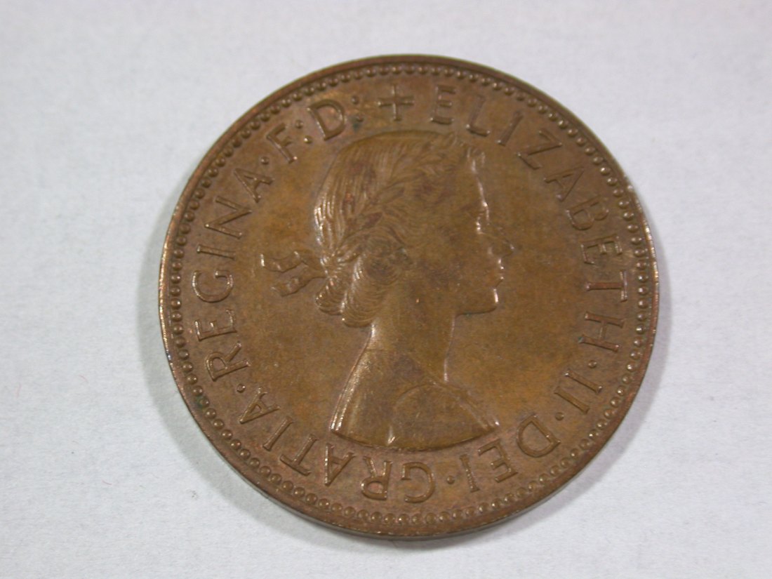  A202 Grossbritannien  1/2 Penny 1964 in vz-st  Orginalbilder   