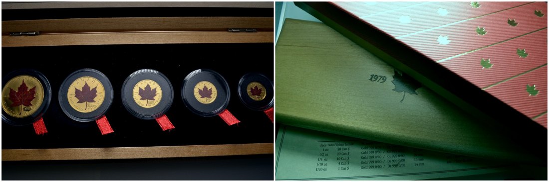 PEUS 6874 Kanada 59,05 g Feingold. 20. Jahrestag Maple Leaf Maple leaf Set GOLD (5 Münzen) 1999 Uncirculated (Multicolor)