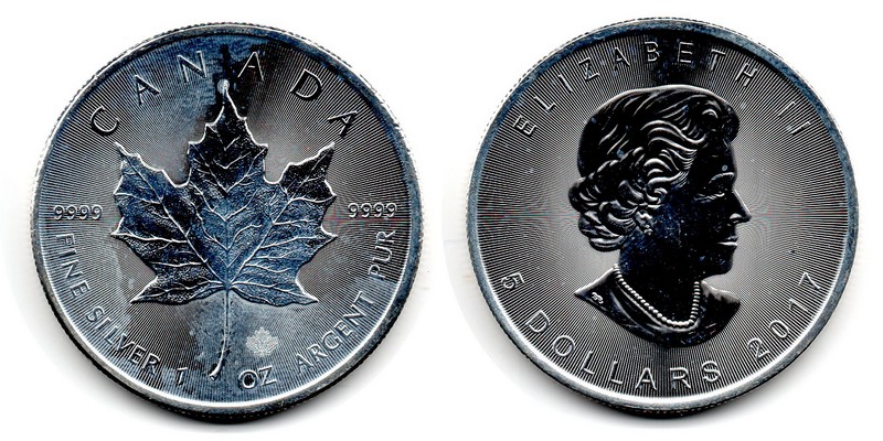  Kanada  5 Dollar (Maple Leaf mit Privy) 2017  FM-Frankfurt Feingewicht: 31,1g Silber stgl.   
