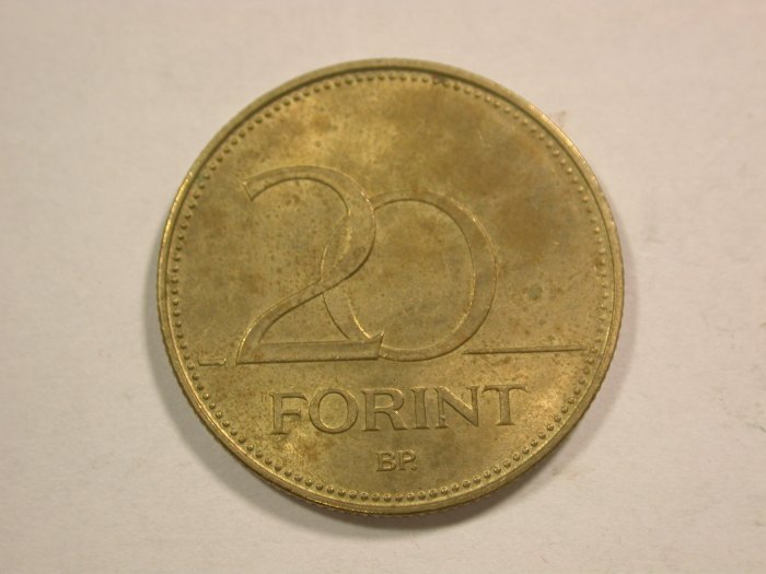 B47 Ungarn 20 Forint1993 in ss+/vz Flecken Originalbilder