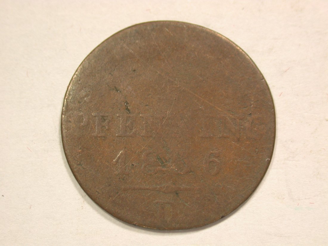  B19 Preussen  1 Pfennig  1836 D in f.s   Originalbilder   
