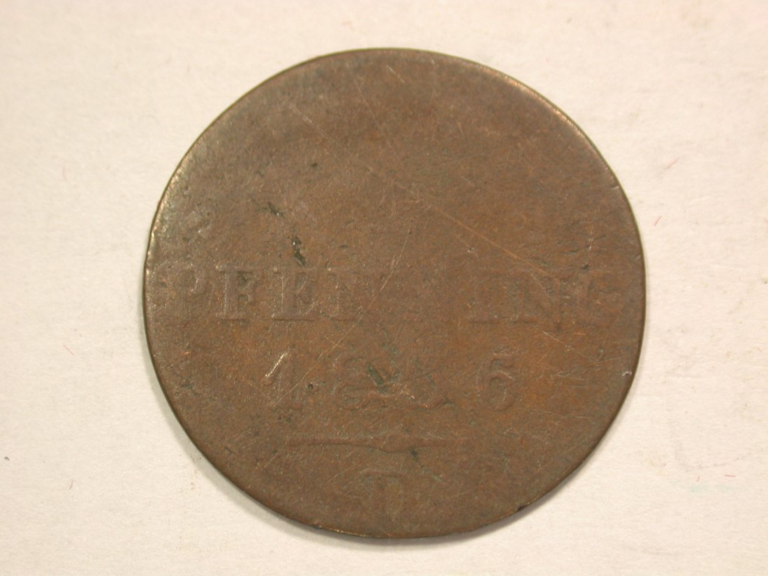 B19 Preussen 1 Pfennig 1836 D in f.s Originalbilder