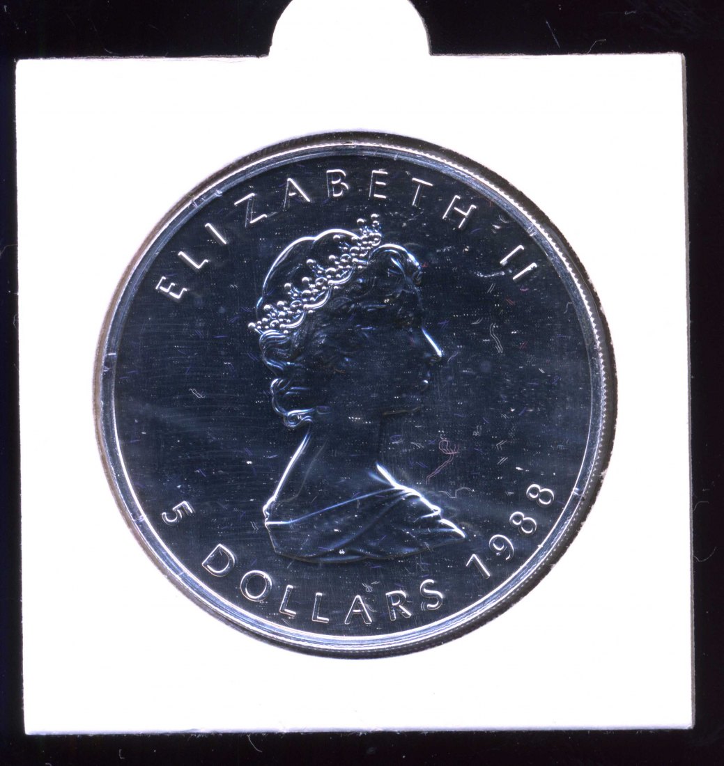 Kanada Maple Leaf Silbermünze Fein 1 Unze von 1988