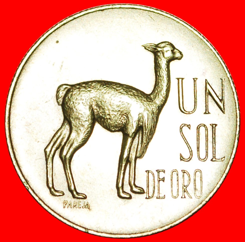  √ VICUGNA: PERU ★ SOL DE ORO 1966!   