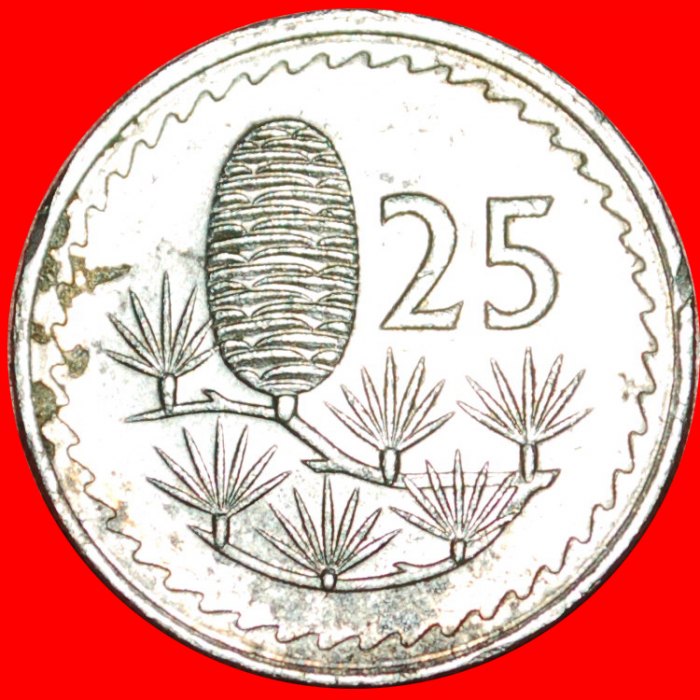  * CEDAR of LEBANON: CYPRUS ★ 25 MILS 1980!  LOW START★ NO RESERVE!!!   