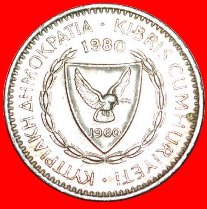  * CEDAR of LEBANON: CYPRUS ★ 25 MILS 1980!  LOW START★ NO RESERVE!!!   