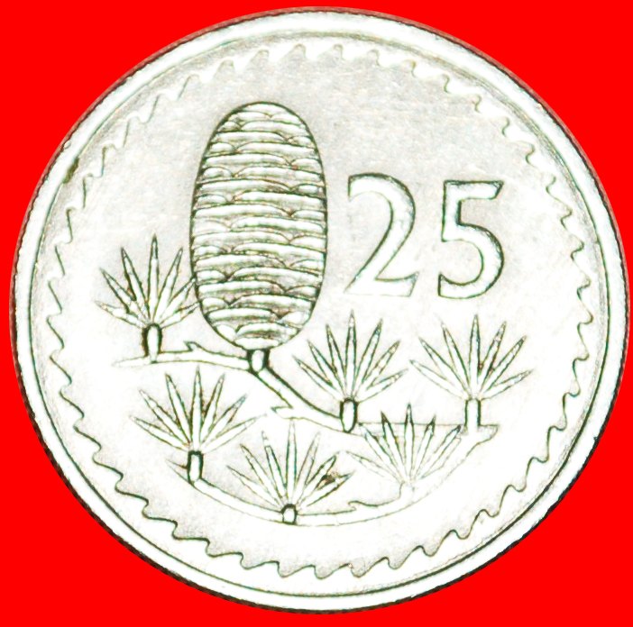 *• CEDAR of LEBANON: CYPRUS 25 MILS 1968! LOW START★ NO RESERVE!!!