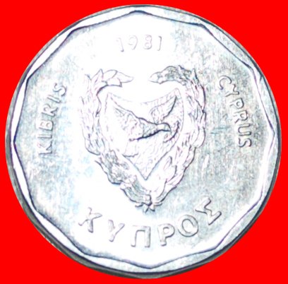  § SHIP: CYPRUS ★ 5 MILS 1981 MINT LUSTER! LOW START ★ NO RESERVE!!!   