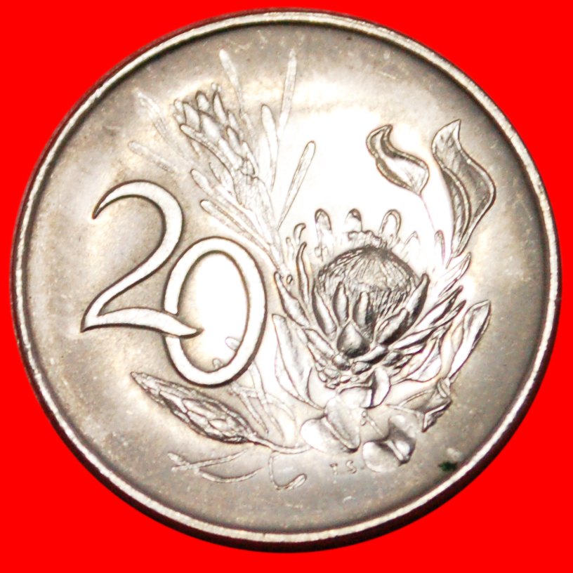 ★ENGLISCH LEGENDE ★ SÜDAFRIKA ★ 20 CENTS 1965 STG STEMPELGLANZ!